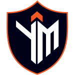 Y & M Global Security Logo 123